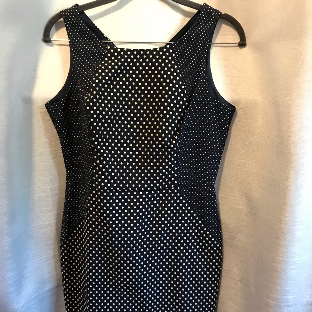 Banana Republic Polka Dot Shift Dress